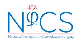 NICS Logo